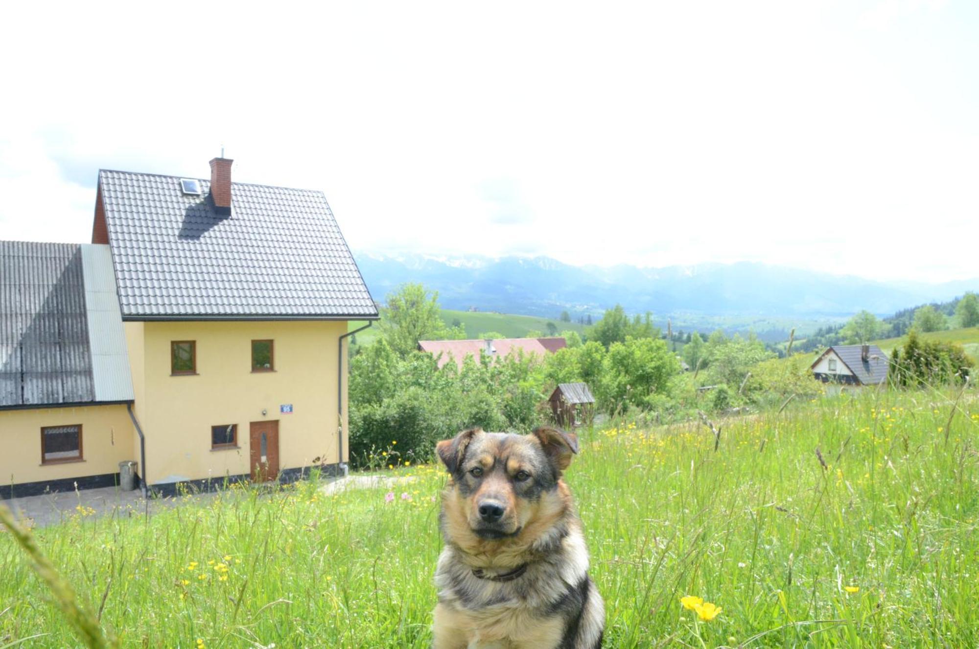 Wynajem Pokoi Zofia Gal Gliczarow Gorny Hotel Exterior foto